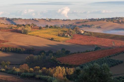 La Vita Nuova Morro dʼAlba Exteriér fotografie